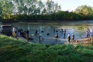 dsc01248.jpg