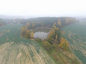 dji-0101.jpg