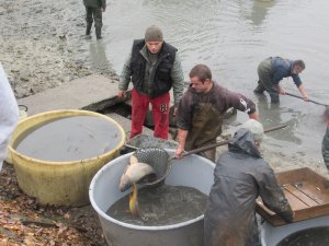 img-0970.jpg