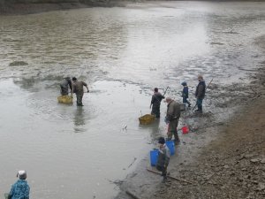 img-0996.jpg