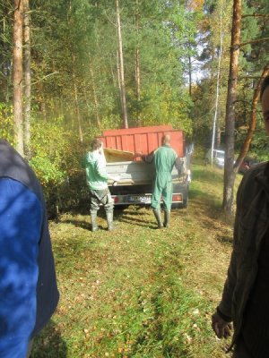 img-0812.jpg