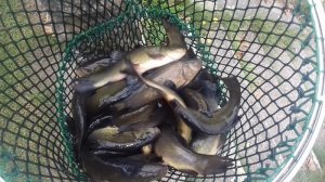 20181007-155811.jpg