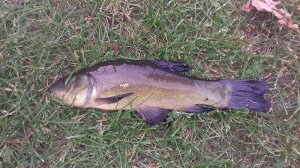 20181007-155855.jpg