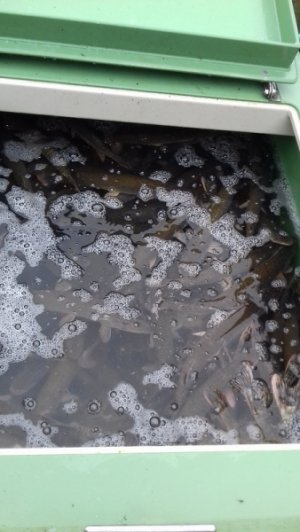 20181008-110012.jpg