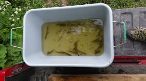 20170606-125924.jpg