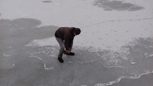 20180227-112455.jpg