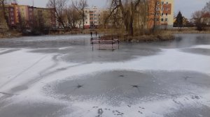 20180227-122204.jpg