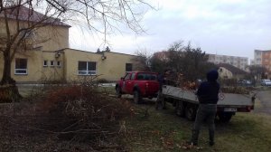 20190202-082919.jpg