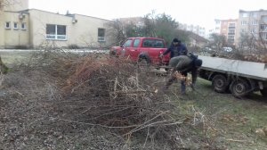 20190202-082925.jpg
