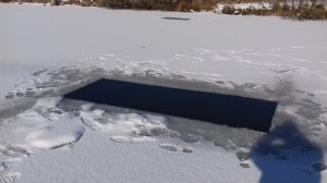20190205-125026.jpg